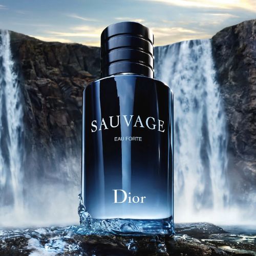 Mùi hương nước hoa Christian Dior Sauvage Eau Forte